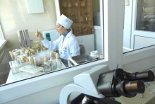 Чем кормят в школах и детсадах?